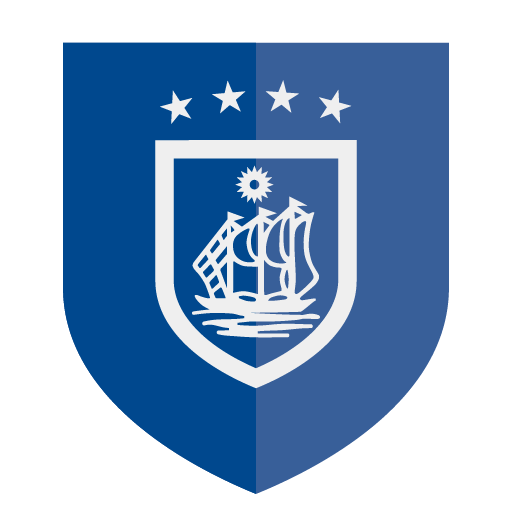 icon brazãotex